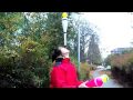View Video