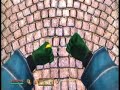 Duplicating Items In Oblivion Xbox 360 w/ Audio