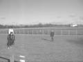 clipster flatwork 7 th feb x