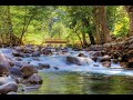 Nature meditation