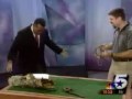 Lizards Lizards