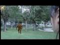 Paralelos 1X18 - Frialdad