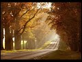 Toamna(Autumn) Manele-Gratis.net