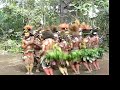 Papua New Guinea Huli wigman dance, August 2007