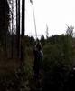 \"Maser of forest\" Maxim Ksuta, Serge Balashov