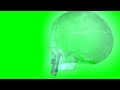 ghost skull  3d model  scooby doo style animation  s01r02 green screen