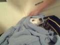 videos de Video 10