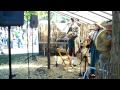 Feast of the Hunter's Moon (2009)-Musicians