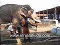 Anayoottu