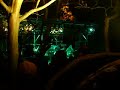 Ibitipoca Blues 2008
