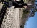 the starlett\