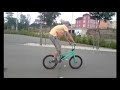 BMX Session Gera 4 BMX Session Gera 4