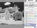 Infrared effect from RAW images - Photoshop week 22