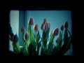 the promo video for comrades in tears by the london based instrumentalist group capricorns. shot entirely on super 8 time lapse, the video delves in the dreamscape of a young virgin bursting with curiosity.