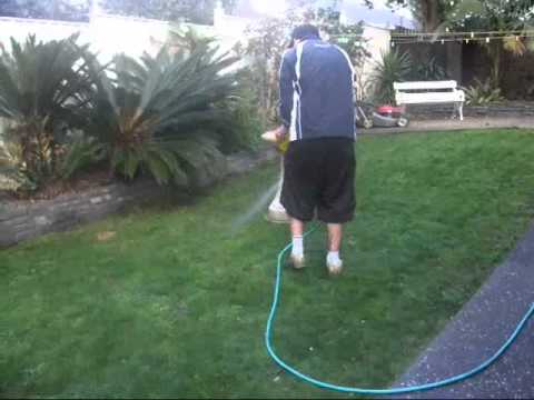 how to apply liquid weed n feed