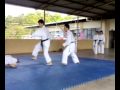 Gojushihosho bunkai version 2