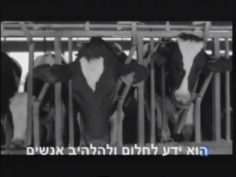 להקת חינוך- ציונות בלי מרכאות