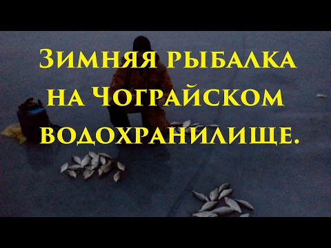 рыбалка на чограе 2017 рыбалка на чограе 2017
