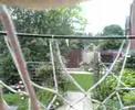 Basketball Ring Cam