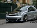 www.modtr.org peugeot 206 TR