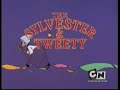 Silvestre y piolin