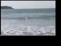 Radio Control Surfer Vs Micro Boat Radio Control Surfer Vs Micro Boat