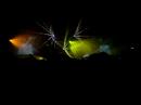 METAMORPHOSE07 DJ:Darren Emerson
