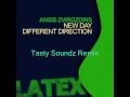 Ansis Zvirgzdins - New Day Different Direction (LATX004)