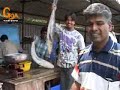Fishing Ban in Goa