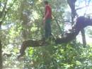 Salto do Ano