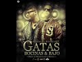 Farruko Ft. Daddy Yankee  Gatas, Bocinas & Bajo (Remix) .wmv