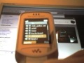 W300 temas flash lite