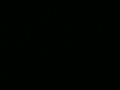 autopsia