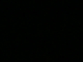 autopsia