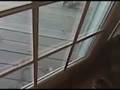 videos de Stupid squirrel