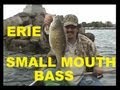 BIG LAKE ERIE SMALLMOUTH BASS  - Dunkirk harbor ( erie)  5-11-08