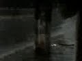 brincndo com o saco e a cortolina debaxo da chuva!!!