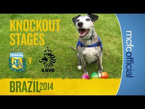 DOUGIE THE DOG PREDICTS | Argentina v Holland World Cup Semi-final DOUGIE THE DOG PREDICTS | Argentina v Holland World Cup Semi-final