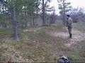 German Shorthaired Pointer Arij�rven Ii and willow grouse