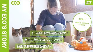 北海道エコ　Youtube Pickup!