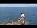 63 Pound Ulua Part 1