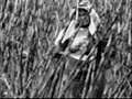 TRABALHADORES BRASILEIROS VAMOS A LUTA....wmv