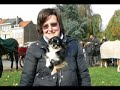 SINT-HUBERTUS DILBEEK