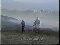 videos de Imagenes de Pichidangui