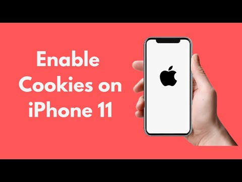 video-linktoworks-iPhone 11/ Pro Max : How to Enable Cookies on iPhone 11