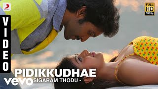 Sigaram Thodu - Pidikkudhae Video  Vikram Prabhu  