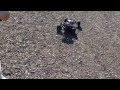 Baja5B シェイクダウン ダウンスケール