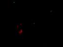 acupuncture-recordsdj-wengwengshanghai-mao-club-by-1208.html