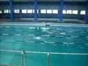 Natacion  ALE (veloz) 3er grados  Taborin19-11-2008