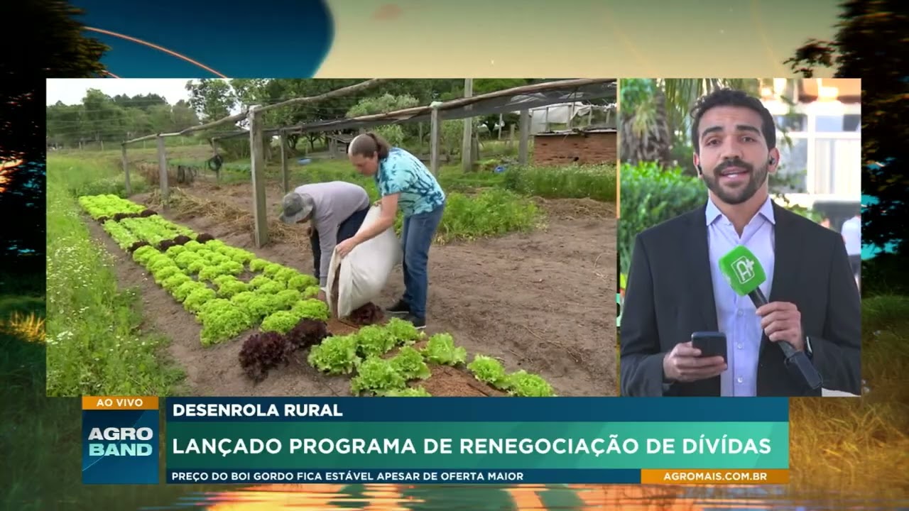 Desenrola Rural: Lançada programa de renegociação de dívidas